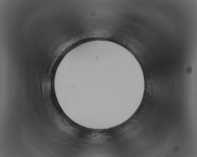 X0000093450632200710191103