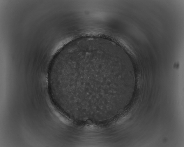 X0000093450634200710191103