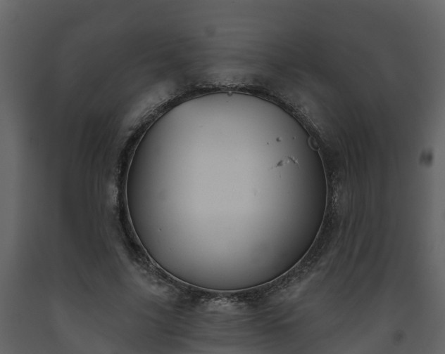 X0000093450635200710191103