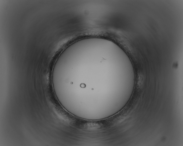 X0000093450636200710191103