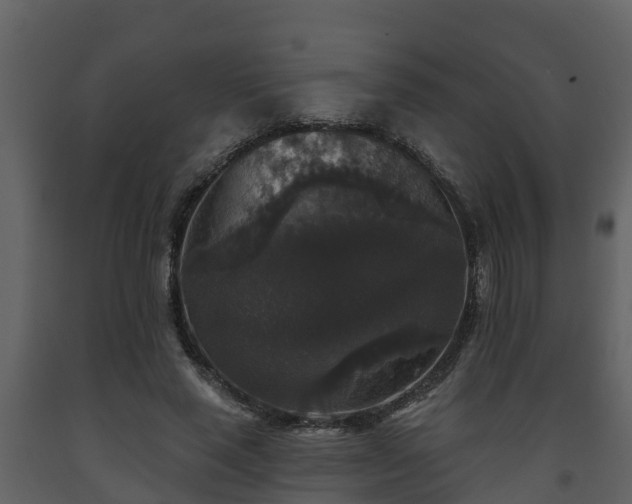 X0000093450637200710191103