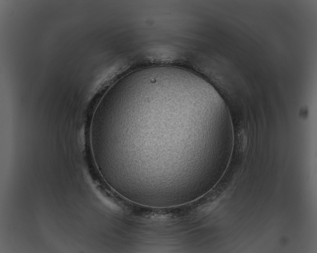 X0000093450638200710191103