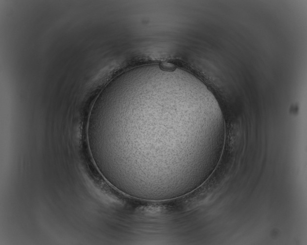 X0000093450639200710191103