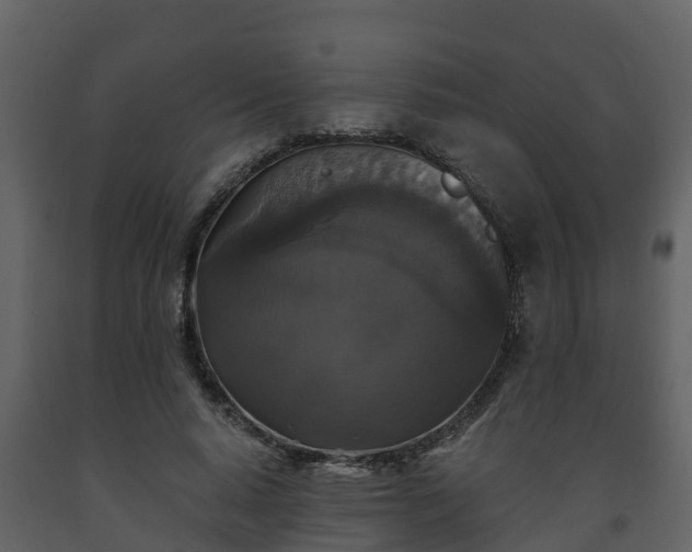 X0000093450640200710191103