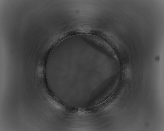 X0000093450641200710191103