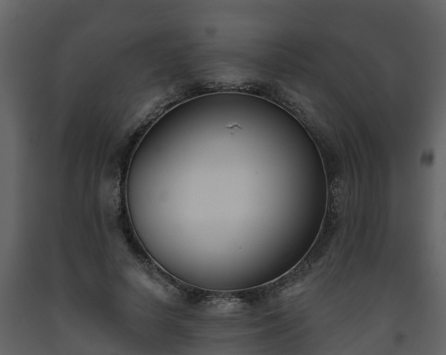 X0000093450642200710191103