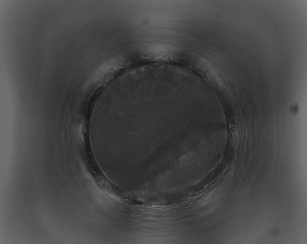 X0000093450643200710191103