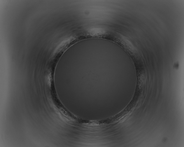 X0000093450644200710191103