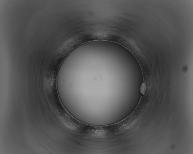 X0000093450645200710191103