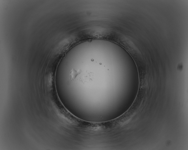 X0000093450646200710191103