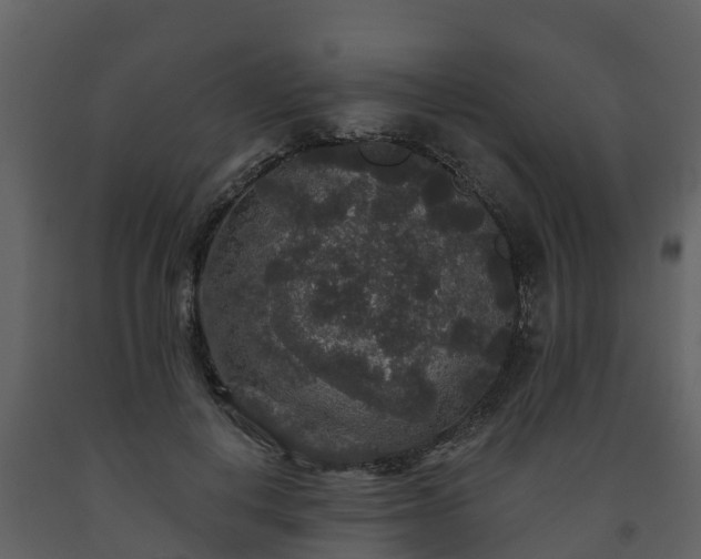 X0000093450648200710191103