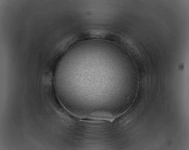 X0000093450649200710191103