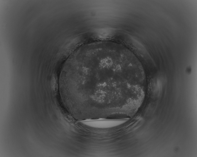 X0000093450651200710191103