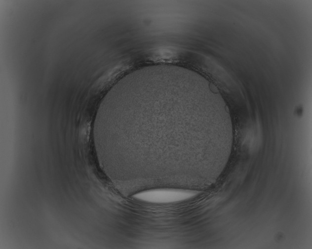 X0000093450652200710191103