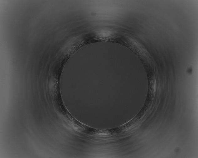 X0000093450653200710191103