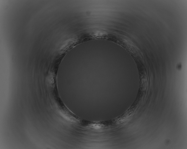 X0000093450654200710191103