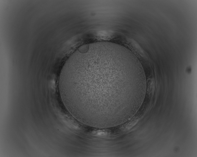 X0000093450655200710191103