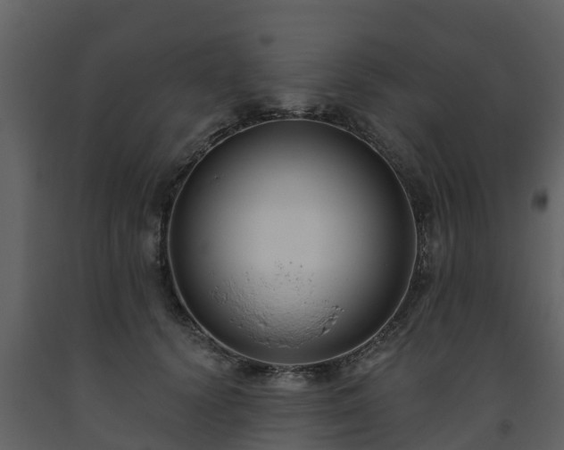 X0000093450656200710191103