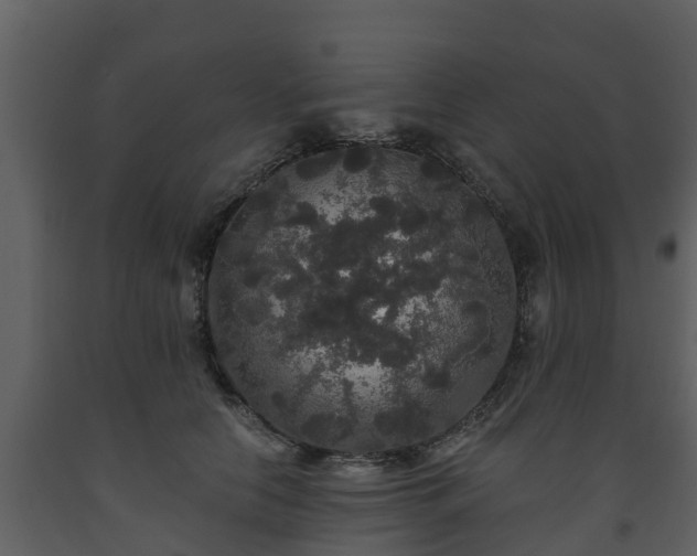 X0000093450658200710191103