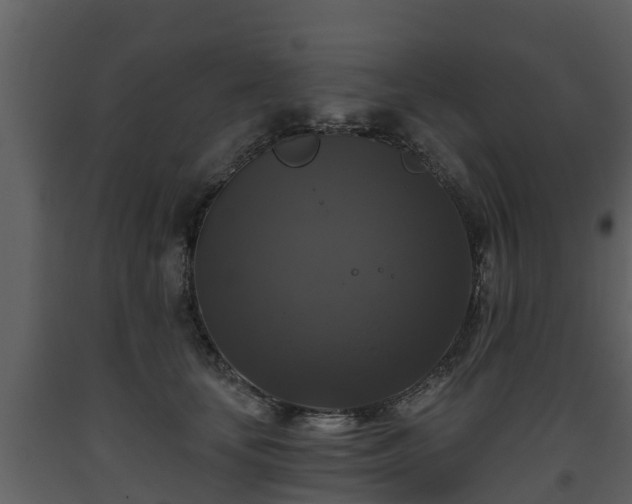 X0000093450659200710191103