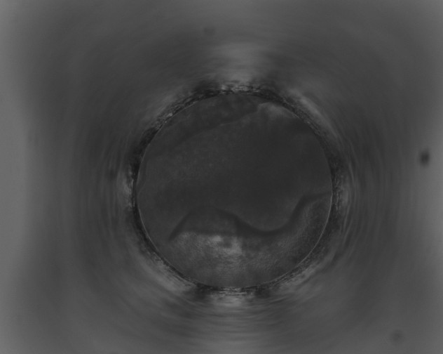 X0000093450661200710191104