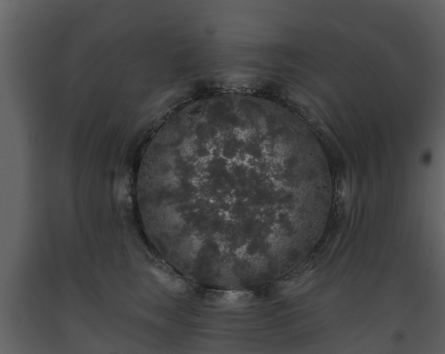 X0000093450663200710191104