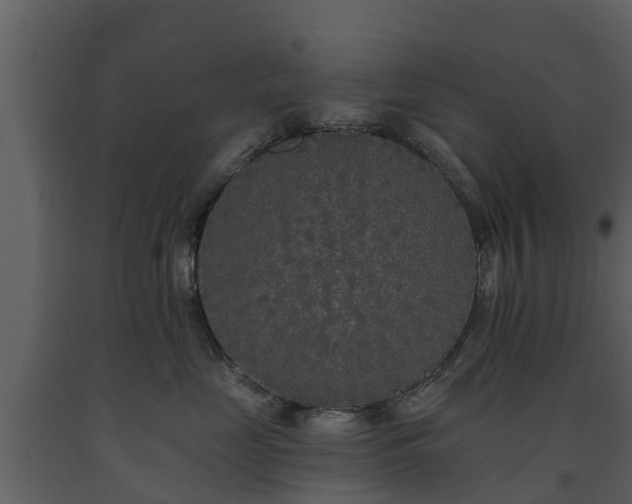 X0000093450669200710191104