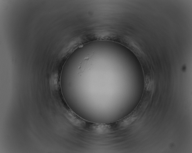 X0000093450670200710191104