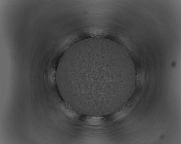 X0000093450671200710191104