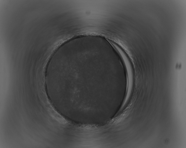 X0000093450673200710191103