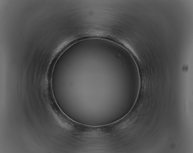 X0000093450674200710191103