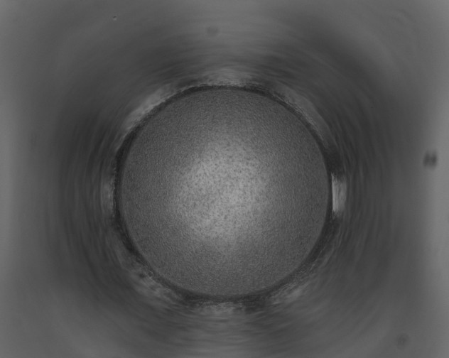 X0000093450675200710191103