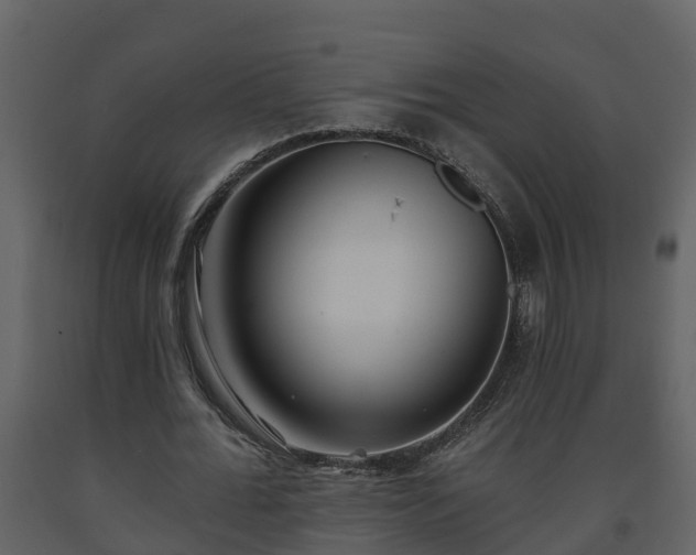 X0000093450676200710191103