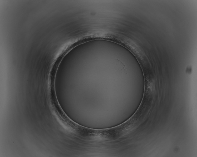 X0000093450678200710191103