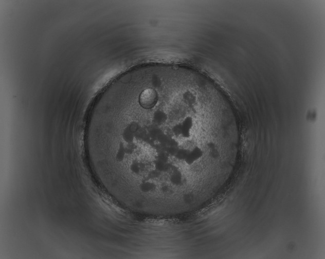 X0000093450679200710191103