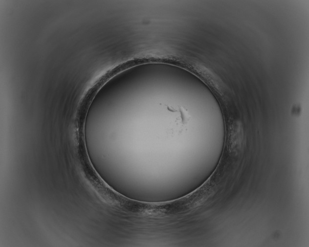 X0000093450680200710191103