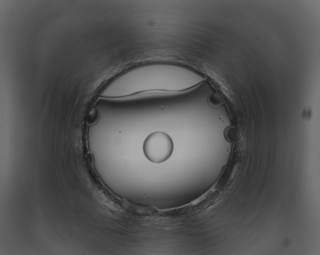 X0000093450681200710191103