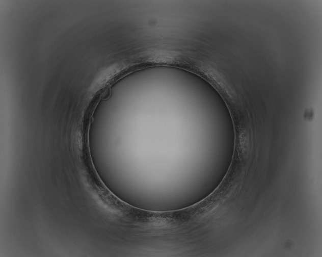 X0000093450682200710191103