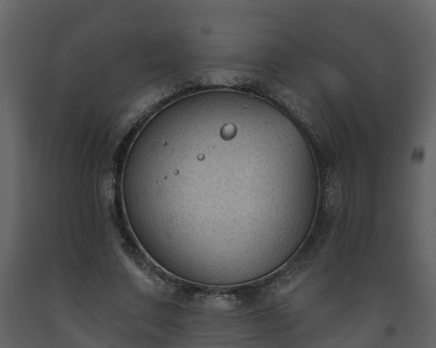 X0000093450683200710191103