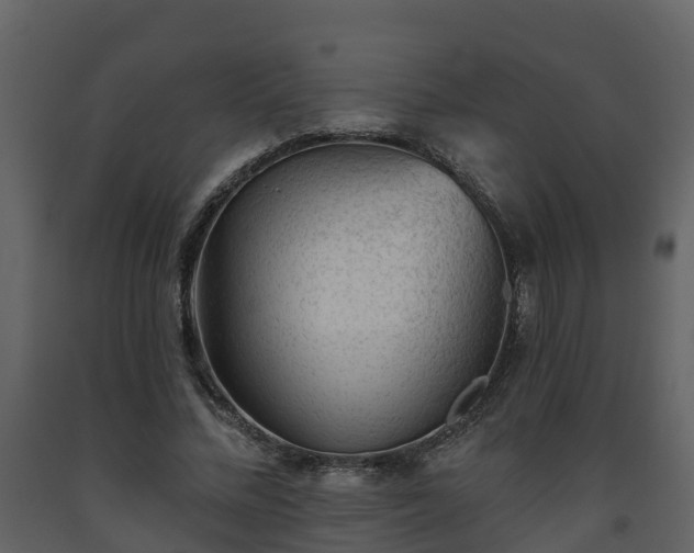 X0000093450684200710191103