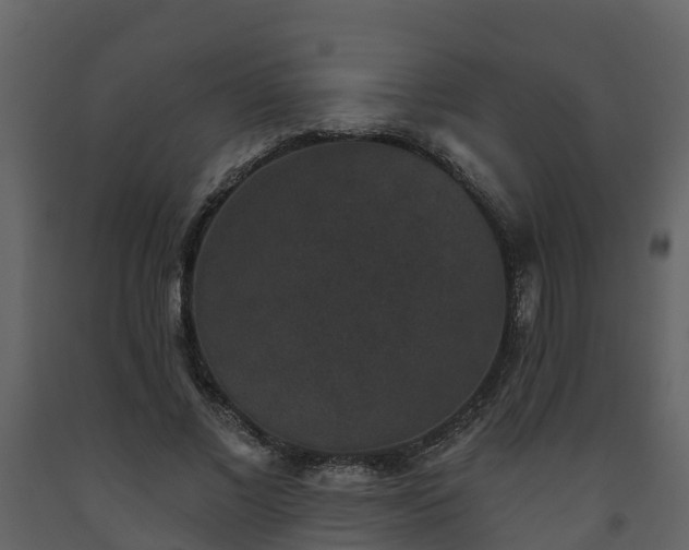 X0000093450685200710191103