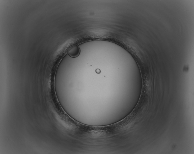 X0000093450686200710191103