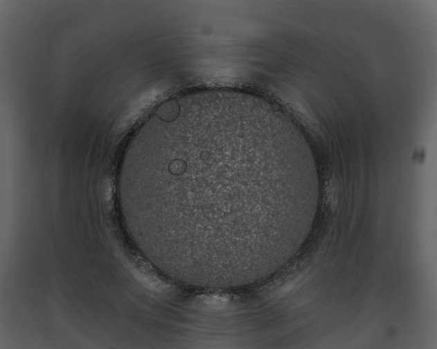 X0000093450687200710191103