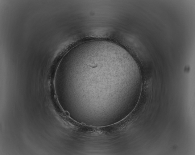 X0000093450688200710191103