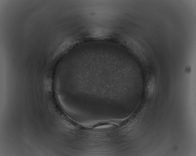 X0000093450689200710191103