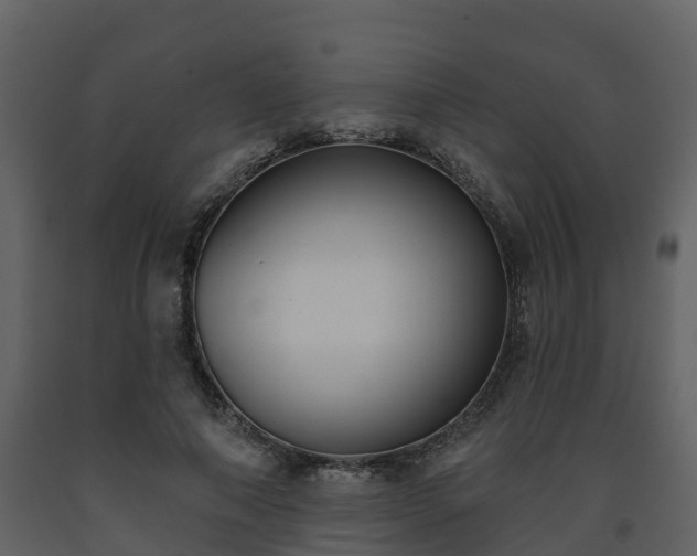 X0000093450690200710191103