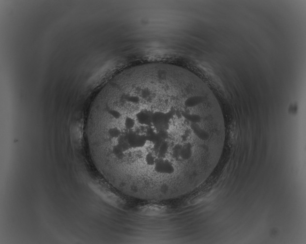 X0000093450691200710191103