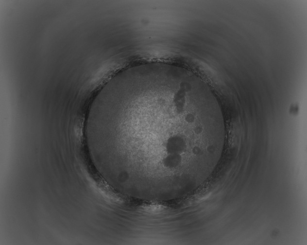 X0000093450695200710191103