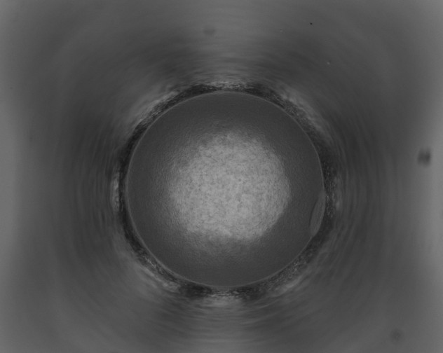 X0000093450696200710191103