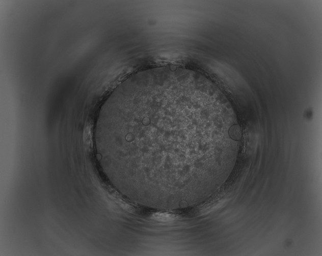 X0000093450699200710191103